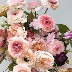 Meet your Posher, Teri